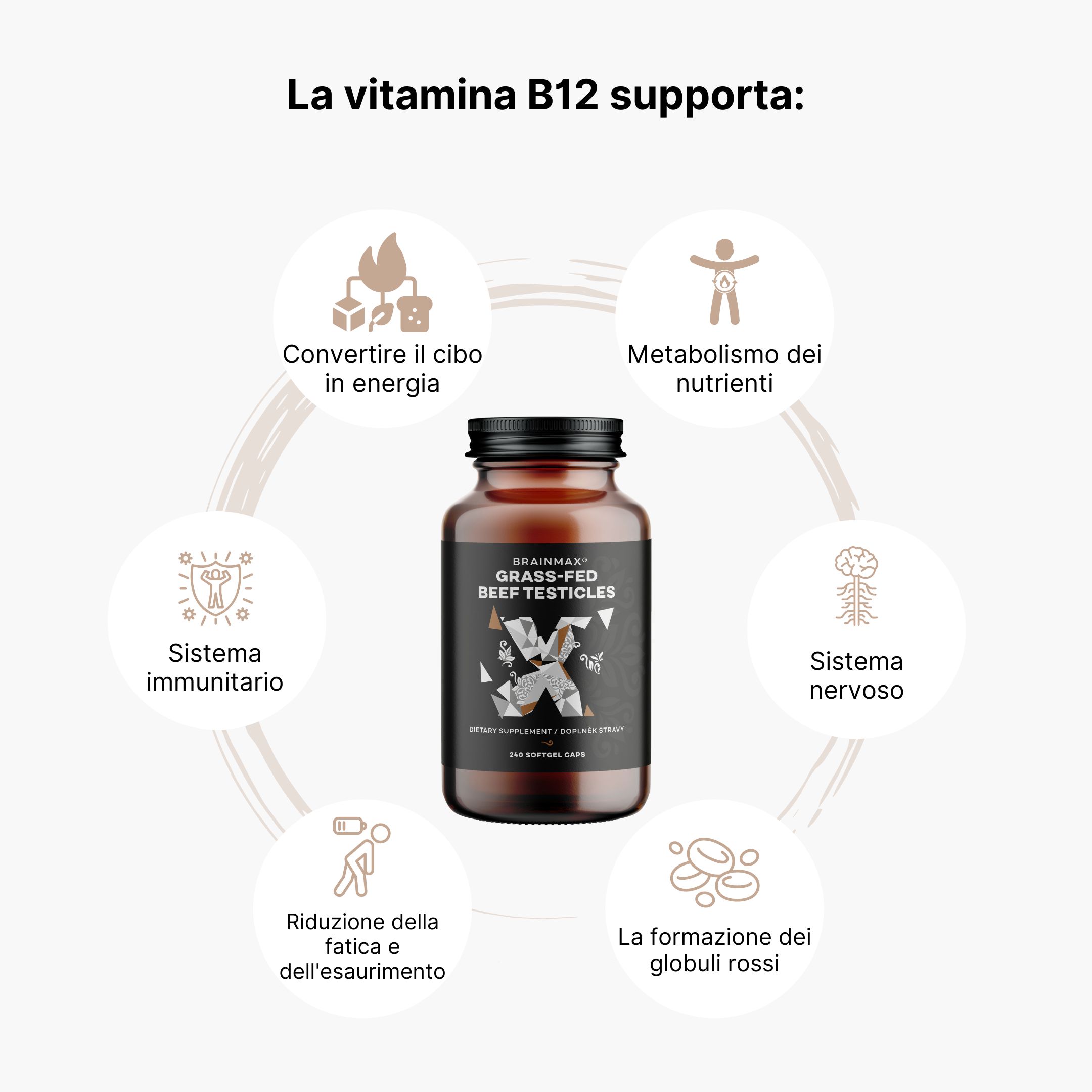 (Italština) Vitamín B12